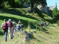 en-route-vers-le-chateau.jpg