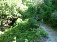 Petit chemin à l'ombre