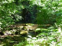 Ruisseau
